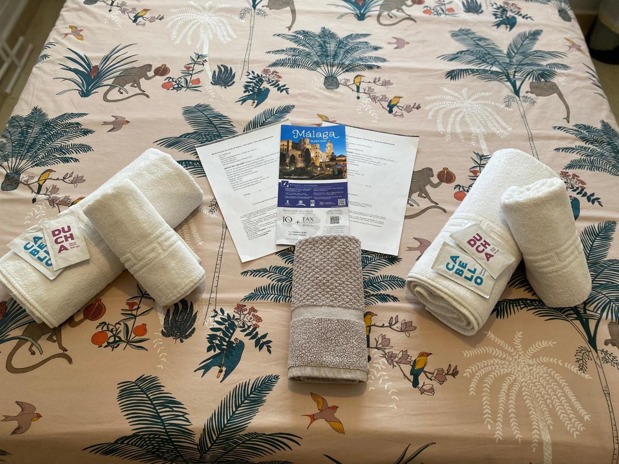 Lunaroom Center & Quiet Guesthouse マラガ 部屋 写真